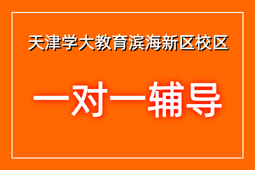 个性化辅导