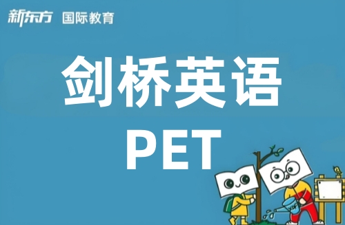 长沙新东方PET