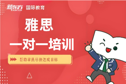 新东方雅思一对一