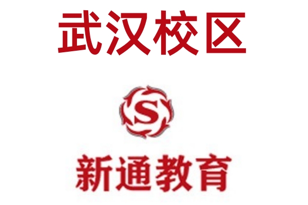 武汉新通雅思培训暑假班