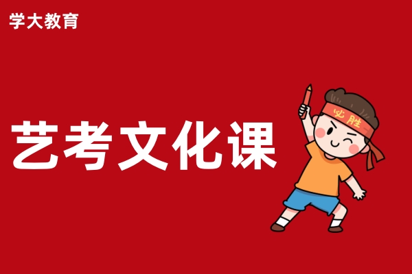 学大艺考文化课培训