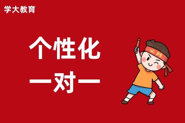 学大初高中一对一