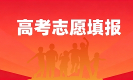 学大高考志愿填报