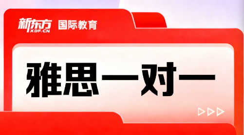 雅思一对一培训