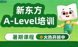 杭州新东方A-Level全日制培训