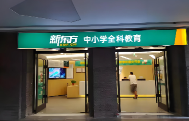 深圳罗湖区新东方文化课辅导班