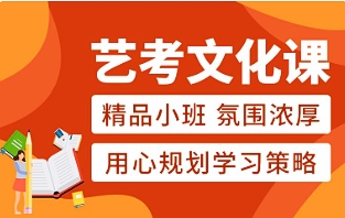 新东方艺考文化课班