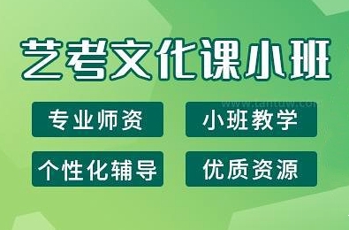 新东方艺考文化课班