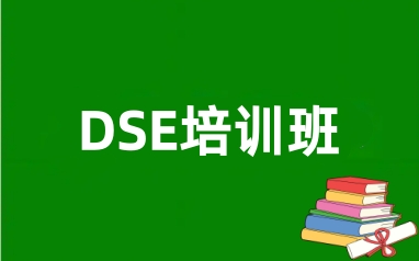 DSE培训
