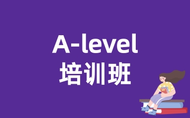 A-LEVEL培训