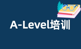 A-LEVEL培训