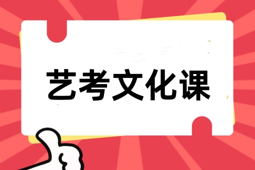艺考文化课辅导
