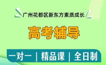 高考辅导