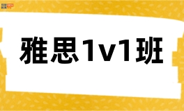 环球雅思1V1班