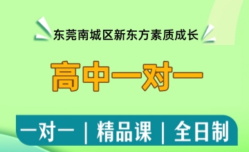 高中一对一辅导