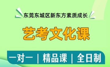 艺考文化课辅导