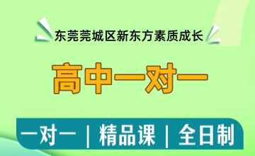 高中一对一辅导