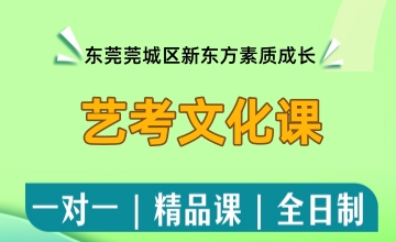 艺考文化课辅导