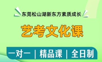 艺考文化课辅导