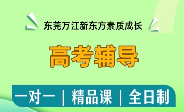 高考辅导