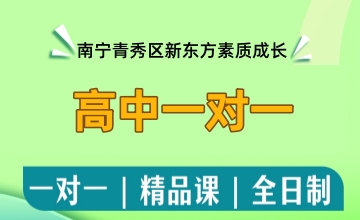 高中一对一辅导