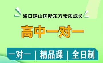 高中一对一辅导