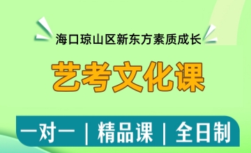 艺考文化课辅导