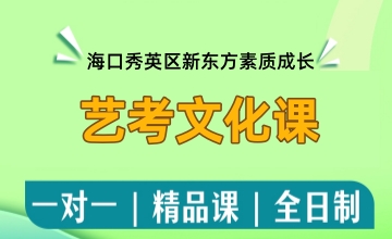 艺考文化课辅导