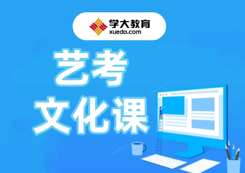 郑州学大艺考文化课