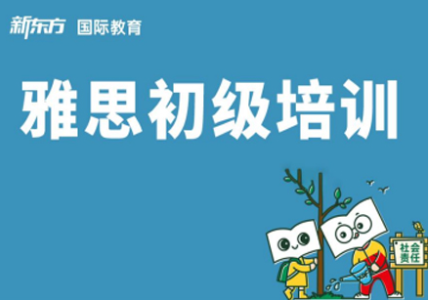 雅思初级培训班