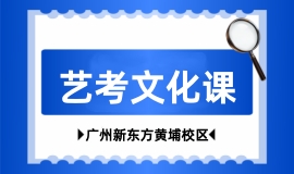 艺考文化课辅导