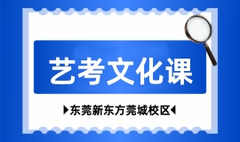 艺考文化课辅导