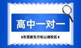 高中一对一辅导