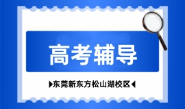 高考辅导