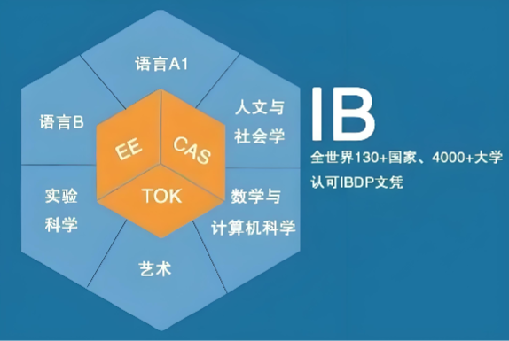 新东方IB培训