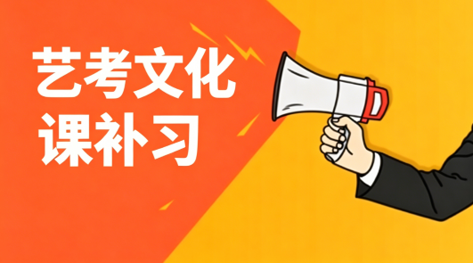 高中艺考文化课补习