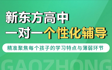新东方高中一对一辅导班