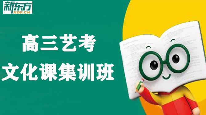 新东方艺考生文化课辅导班