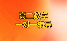  高二数学1对1规划