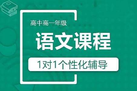 高中语文辅导课程
