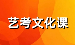 艺考文化课辅导