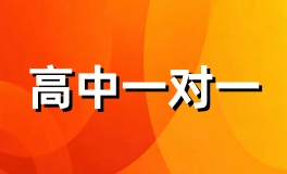 个性化辅导