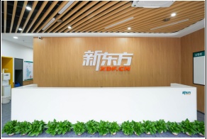 深圳新东方素质教育