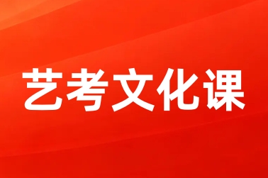 艺考文化课辅导