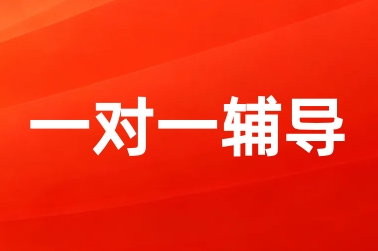 一对一辅导