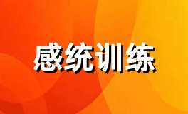 感统训练