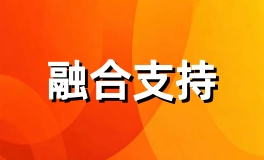 融合支持
