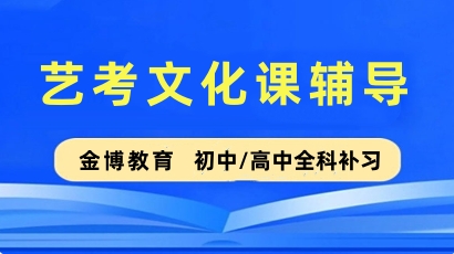 金博高中艺考文化课