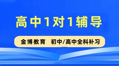金博高中1对1培训班